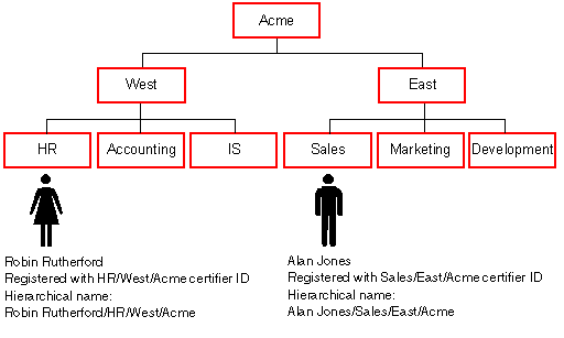 Chart of Acme's hierarchy